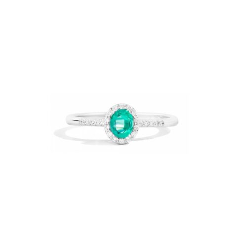 Anello Recarlo Iris – Oro Bianco18kt – Diamanti e Smeraldo