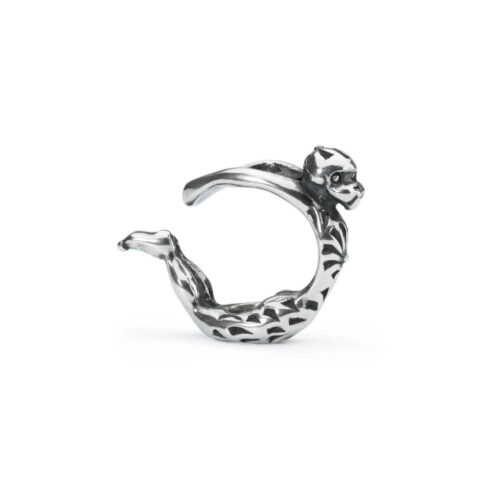 Ciondolo Trollbeads Buttati – Argento